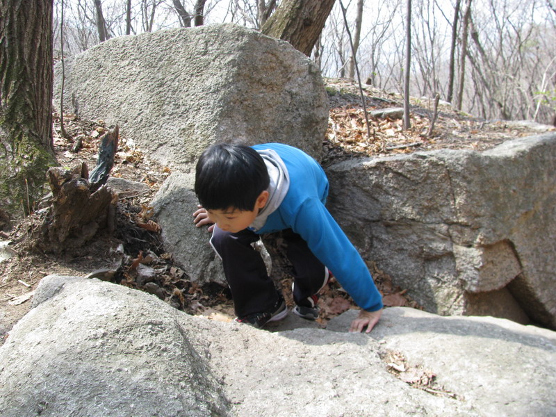 사용자 삽입 이미지